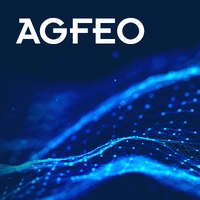 AGFEO Workshops 2025