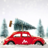 Tannenbaum-Aktion 2025